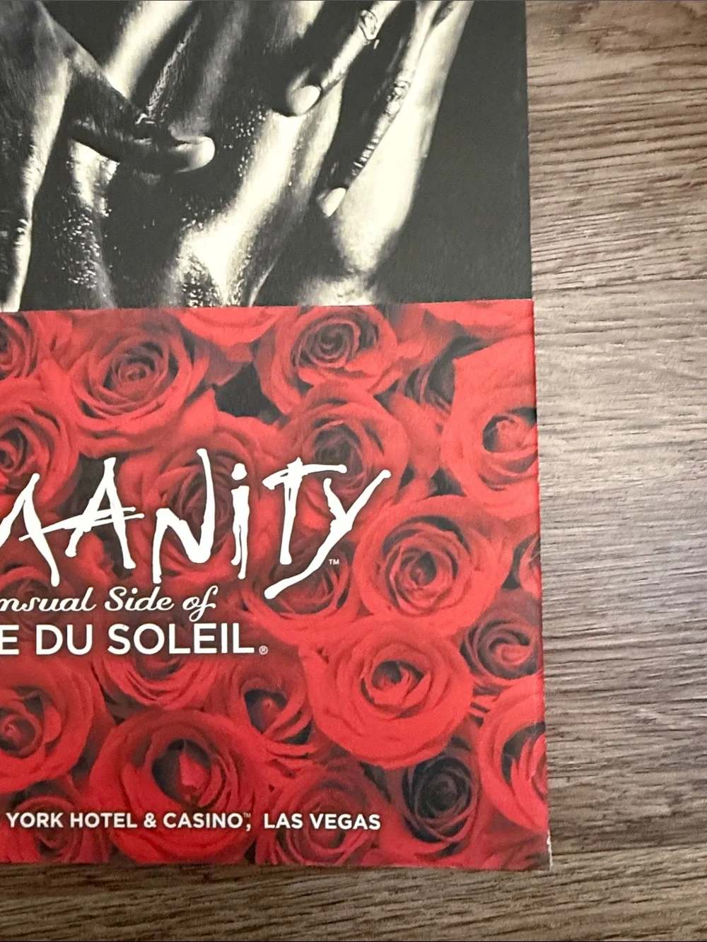 Cirque du Soleil Zumanity Official Souvenir Program Book Las Vegas